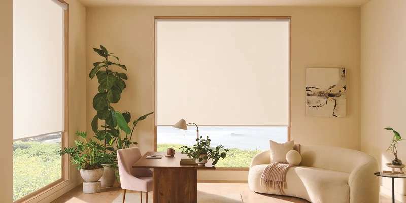 Hunter Douglas Designer Roller Shades in Ginseng fabric, Sisal color, filtering light in a warm neutral home office.
